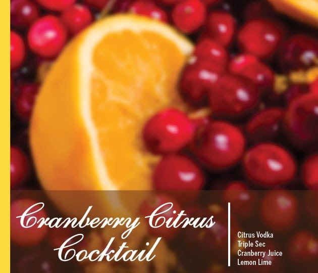 Cranberry Citrus Cocktail Holiday Drink Recipe